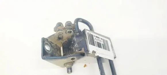 Rear door lower hinge