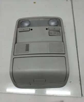 Volkswagen PASSAT B6 Front seat light 3C0867489