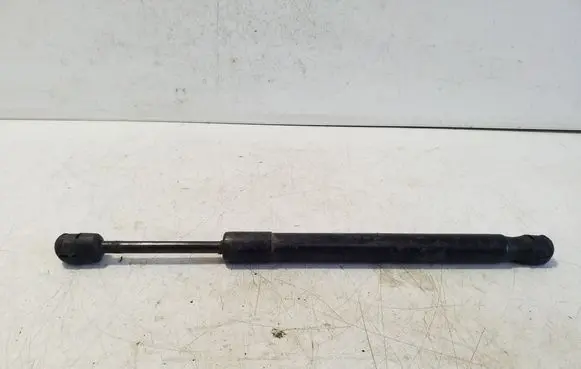 Tailgate/trunk strut/damper