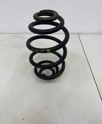 Rear coil spring