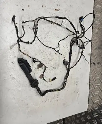 BMW X3 F25 Front door wiring loom 9379820