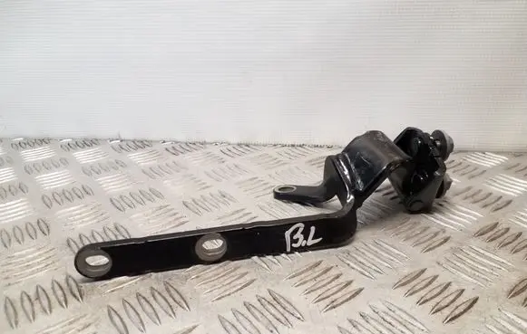 Tailgate/trunk/boot hinge