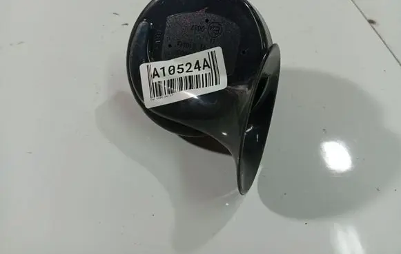 Fiat Ducato Horn signal 1009510005