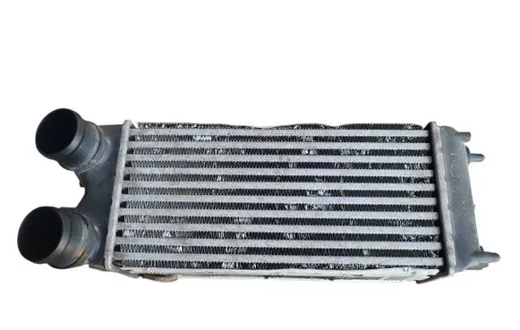 Ford Fiesta Intercooler radiator AV219L440AB