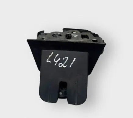 Tailgate/trunk/boot lock/catch/latch