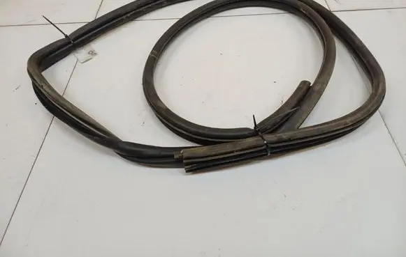 Renault Scenic I Rubber seal rear door