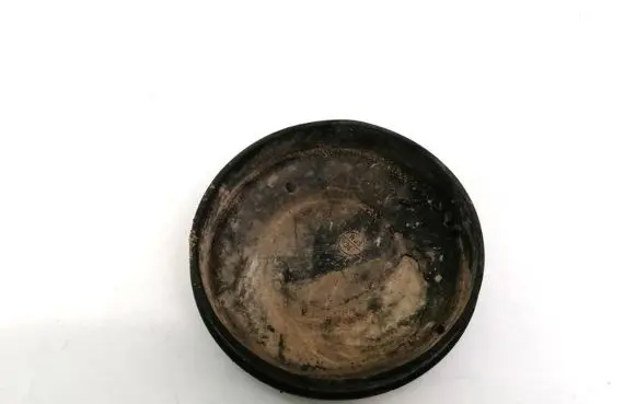 Opel Astra H Headlight/headlamp dust cover 153874