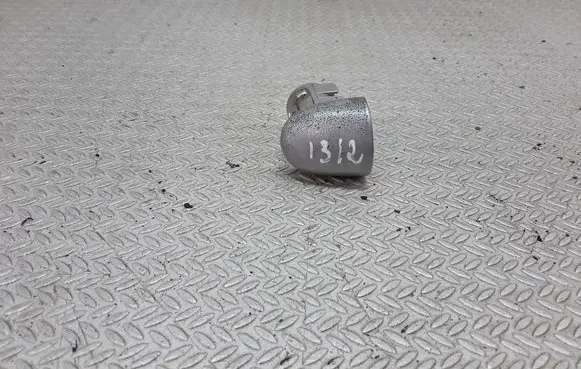 Renault Megane II Rear door handle cover 242200000