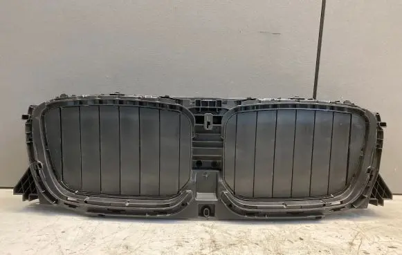 BMW X3 G01 Front bumper upper radiator grill 5A1DA48