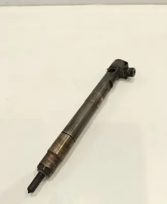 Chevrolet Captiva Fuel injector 25183186 28264951 1096DE25R31