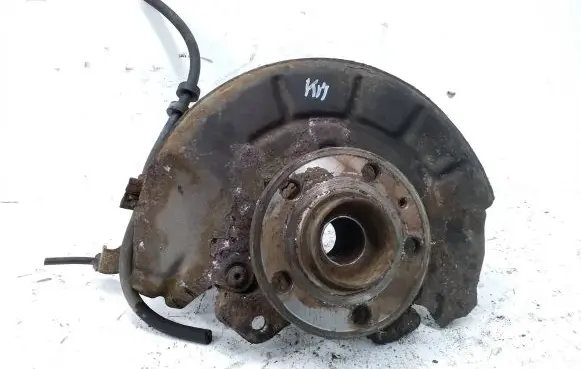 Skoda Roomster (5J) Front wheel hub spindle knuckle