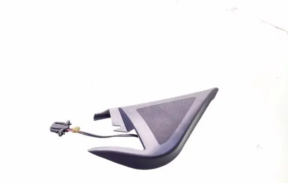 Front door high frequency speaker