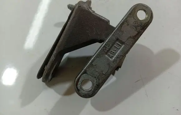 Rear door lower hinge