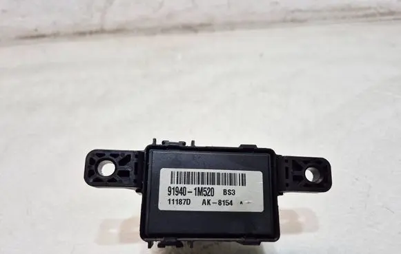 Hyundai Santa Fe Other control units/modules 919401M520