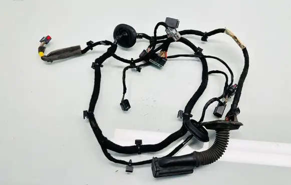 Front door wiring loom