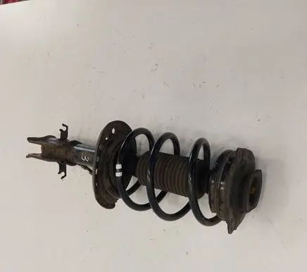 Nissan Leaf II (ZE1) Front shock absorber with coil spring
