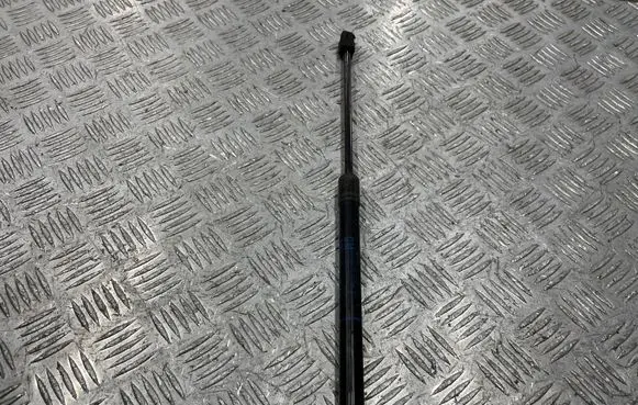 Opel Astra H Tailgate/trunk strut/damper 24463829