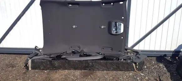 Ford Focus ST Headlining 