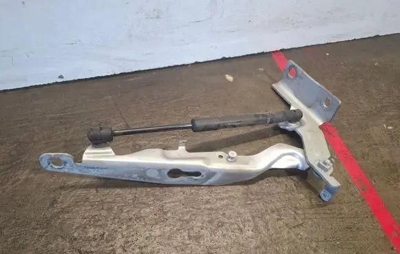 Engine bonnet/hood hinges