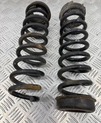 Rear coil spring