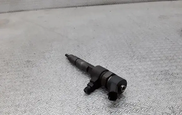 Fiat Punto (188) Fuel injector 0445110019