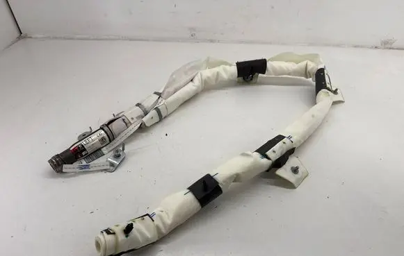 Tesla Model X Roof airbag 103675600E