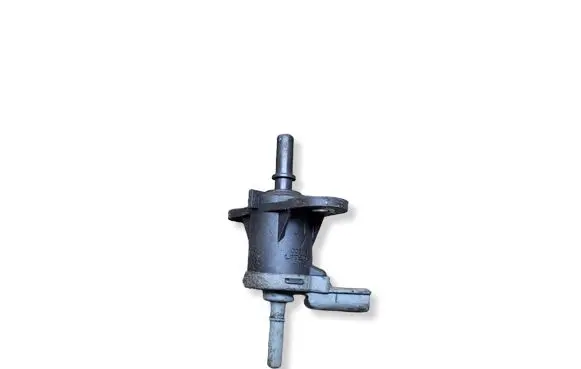 Renault Master III Electromagnetic valve 208853765R