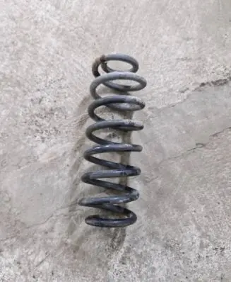 Rear coil spring