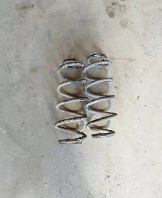 Rear coil spring