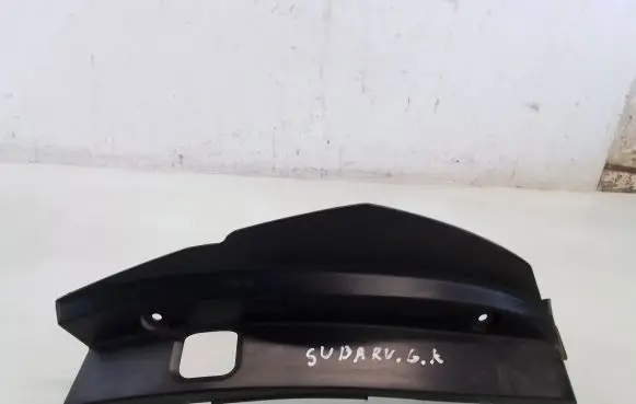Rear/tail light trim molding