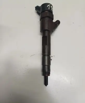 Renault Scenic II - Grand scenic II Fuel injector 0445110110B