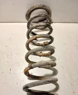 Ford Focus C-MAX Rear coil spring