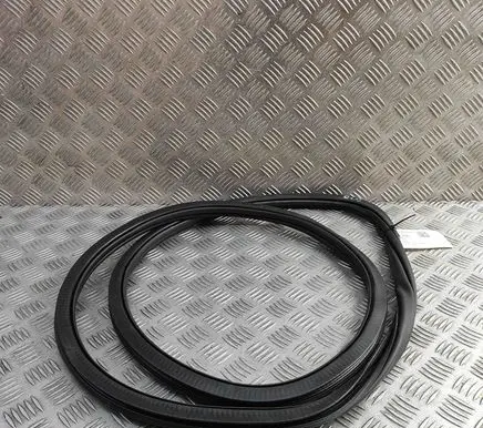 Volkswagen Polo VI Rubber seal rear door 2GS867914B