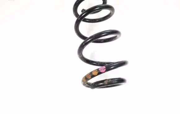 Front coil spring