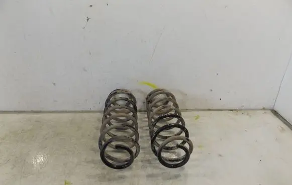 Rear coil spring