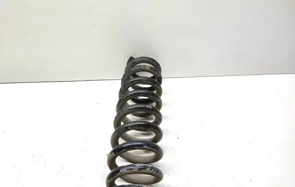 BMW X1 E84 Rear coil spring
