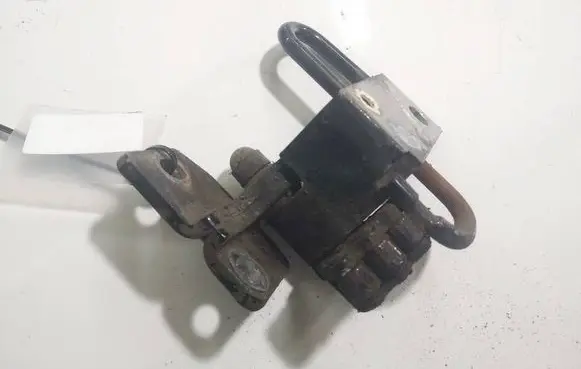 Volkswagen PASSAT B6 Rear door lower hinge 
