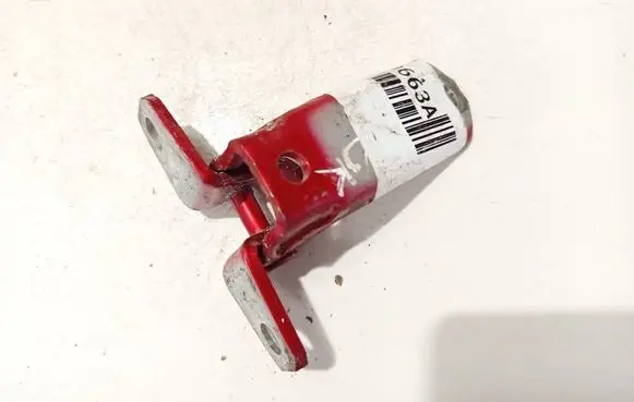 Rear door lower hinge