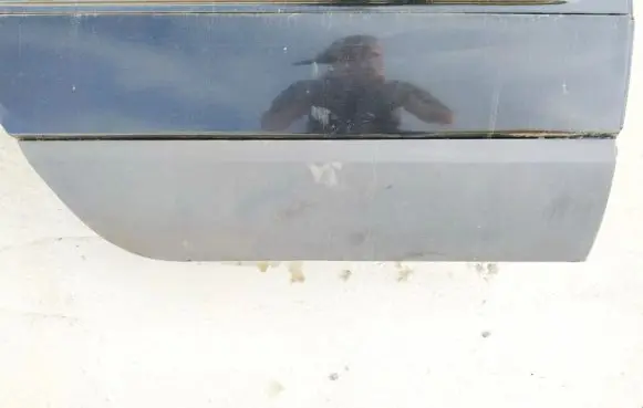 Chrysler Pacifica Rear door trim (molding)