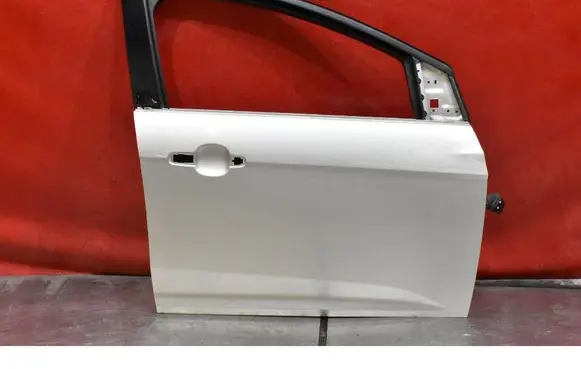 Ford Focus Front door 