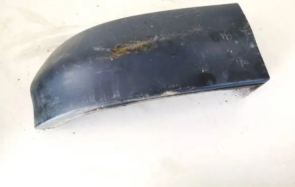 Rear/tail light trim molding