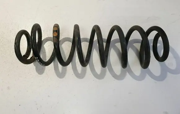 Rear coil spring