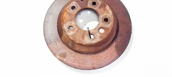 Porsche Cayenne (9PA) Rear brake disc ventiliuojamas