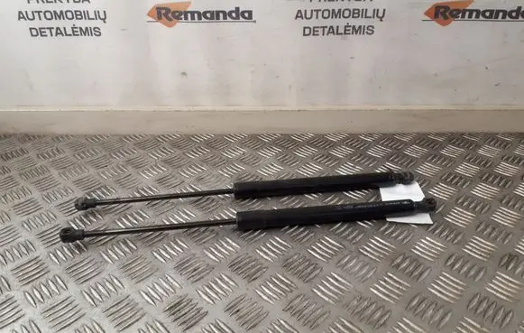 Renault Zoe Tailgate strut 904502915R