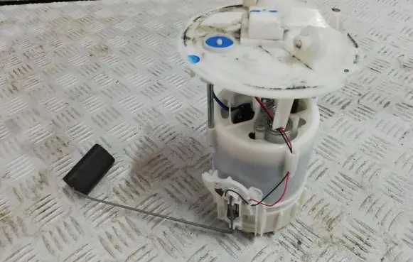 Renault Kangoo II In-tank fuel pump 172024329r 118629