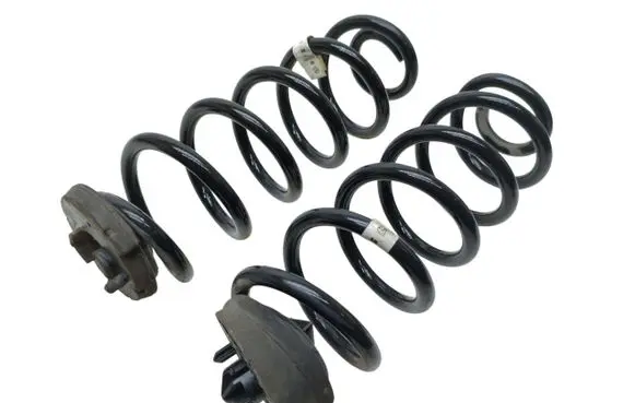 Rear coil spring