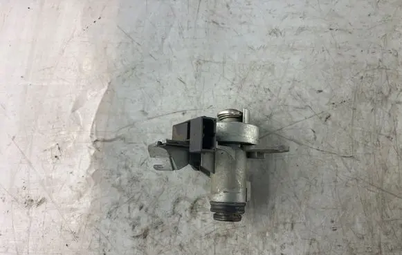 Audi A4 S4 B6 8E 8H Tailgate exterior lock 8E0827573A