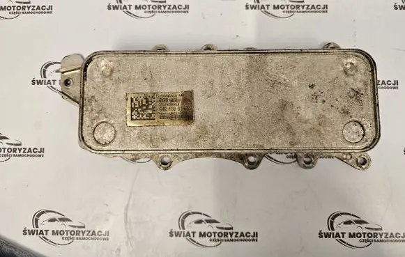 Mercedes-Benz R W251 Engine oil radiator 6421800165