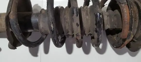 Daihatsu Terios Front coil spring 