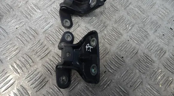 Hyundai i20 Active Rear door hinge set 